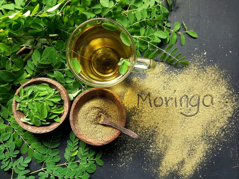 Moringa – a csodálatos növény, amely a húst is helyettesítheti!
